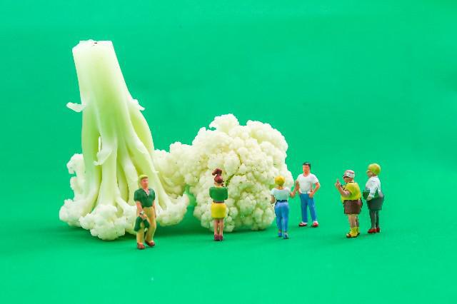 有機花菜和無機花菜有哪些區別？主要看這幾點！