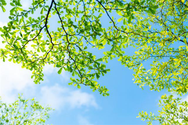 春季怎么幫助皮膚補水?這樣做幫助皮膚科學喝飽水-易網健康<a href=http://www.xllyou.com/jkys/ target=_blank class=infotextkey>養生</a>網 春季怎么幫助皮膚補水?這樣做幫助皮膚科學喝飽水