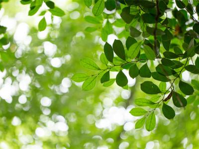 春季怎么消滅螨蟲？這些方法都很有用