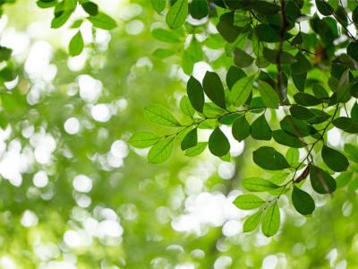 春天總是犯困怎么辦？這些方法幫你解決困擾