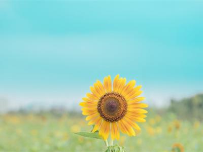 春季最適合養肝，這些人千萬別錯過