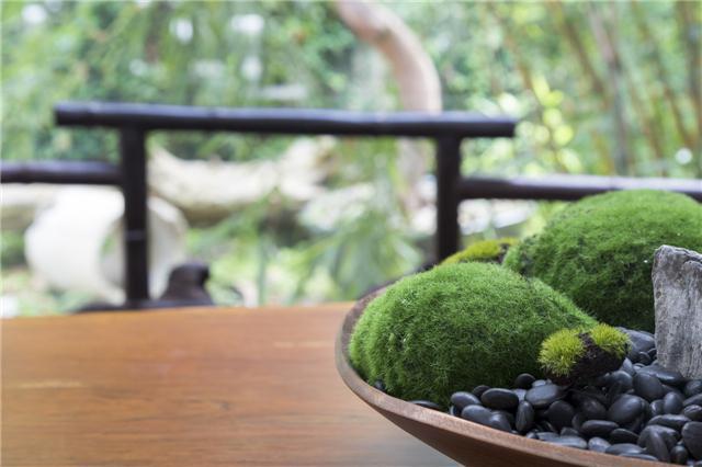 春天吃哪些水果好？<a href=http://www.xllyou.com/tags-春季養生.html target=_blank class=infotextkey>春季養生</a>要吃水果