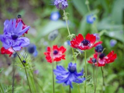 春天安全注意事項，注意事項要牢記！