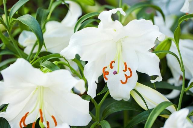 春季過(guò)敏,外出踏青要注意哪些問(wèn)題?-易網(wǎng)健康養(yǎng)生網(wǎng) 春季過(guò)敏,外出踏青要注意哪些問(wèn)題?