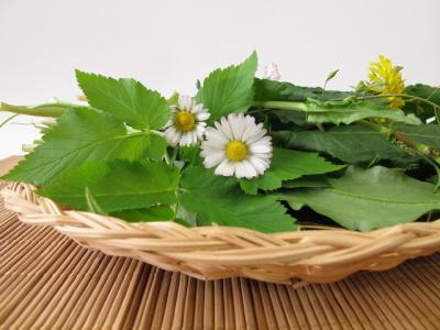 春季最值得吃的幾種野菜，錯(cuò)過(guò)就只能再等一年