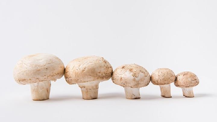 吃什么東西養胃? 養胃必吃這些食物