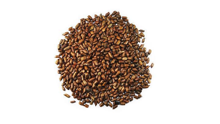 不同體質的人又該怎么藥補 不同體質不同進補方法須知