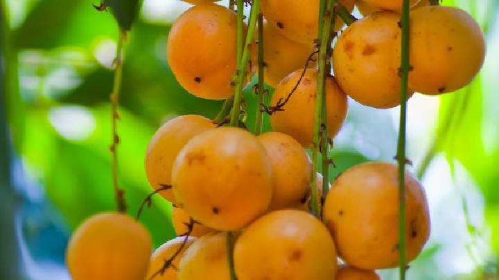 養(yǎng)胃的食物有哪些 八種養(yǎng)胃食物千萬別錯(cuò)過-易網(wǎng)健康養(yǎng)生網(wǎng) 養(yǎng)胃的食物有哪些 八種養(yǎng)胃食物千萬別錯(cuò)過