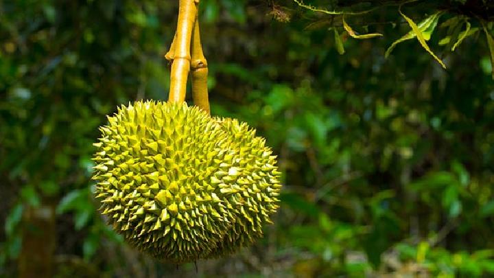 春困吃什么食物好 5種食物幫你對抗春困-易網健康養生網 春困吃什么食物好 5種食物幫你對抗春困