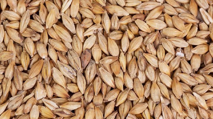 夏季該如何養胃比較好 夏日養胃推薦3類食品