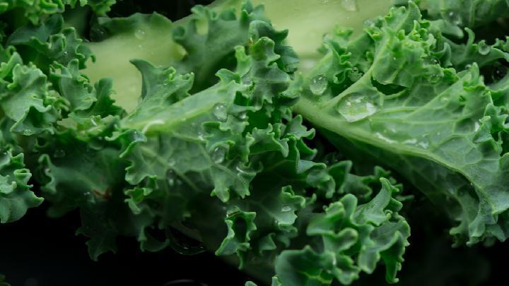 什么東西養胃你知道嗎? 這些食物養胃效果更好