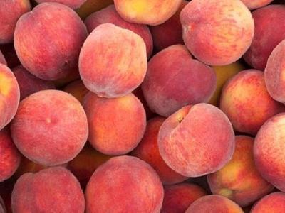 保持哪些好習慣才能養(yǎng)胃? 堅持4個好習慣養(yǎng)出好胃口