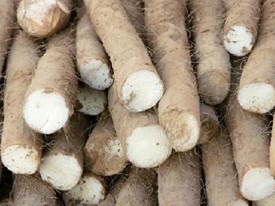 春季養(yǎng)生養(yǎng)肝吃什么好 春季養(yǎng)生養(yǎng)肝多吃三菜一粥