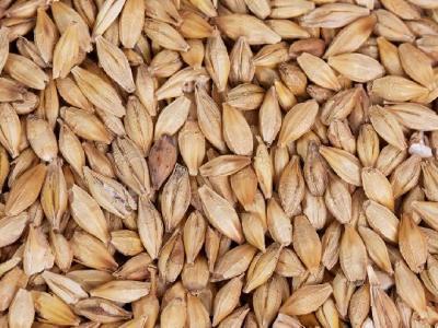 常見的養胃誤區有哪些 這5大養胃誤區不要再觸犯了!