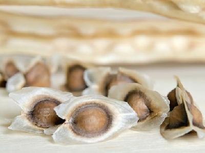 男人冬季上火應(yīng)該吃哪些食物降火 男人上火應(yīng)多吃這5種食物來降火