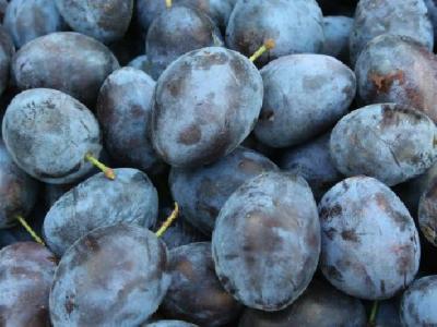 春季養(yǎng)生吃什么好? 春季養(yǎng)生小常識分享