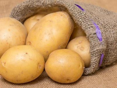 女性朋友應該如何保健養生 女性春季養生選擇紅白兩色