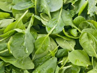 春季養(yǎng)生吃什么食物好 春季養(yǎng)生蔬菜推薦韭菜的幾種美味吃法