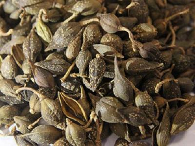 春季養生藥膳都有哪些 玫瑰藥膳是春季養生佳品