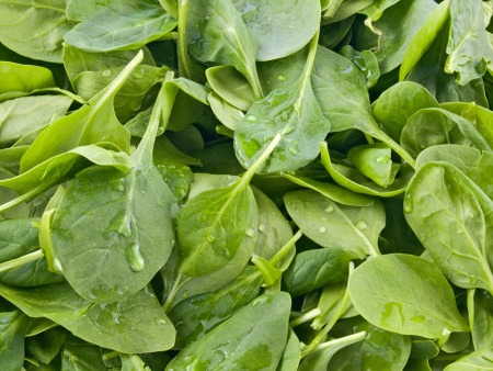 秋季適宜養生蔬菜 這個顏色的菜要多吃-易網<a href=http://www.xllyou.com/ target=_blank class=infotextkey>健康養生</a>網 秋季適宜養生蔬菜 這個顏色的菜要多吃