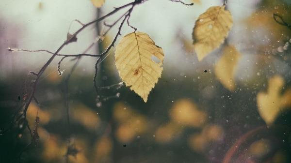 深秋養生，你該注意什么？