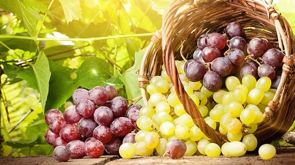 夏天吃水果的禁忌 夏天吃水果有哪些禁忌-易網健康<a href=http://www.xllyou.com/jkys/ target=_blank class=infotextkey>養生</a>網 夏天吃水果的禁忌 夏天吃水果有哪些禁忌