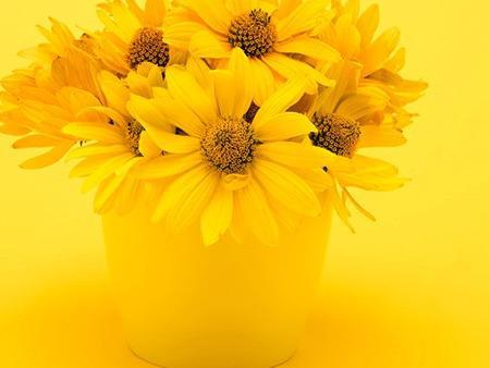 秋冬養(yǎng)生小常識，這里面群都概括了，你都做了哪些