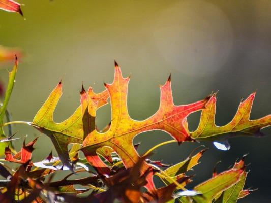 秋分秋意濃 適當運動解心寬