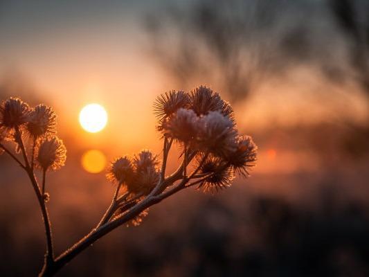 秋分秋意濃 適當運動解心寬