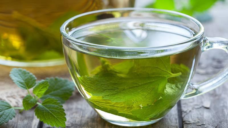 4個夏季出游的健康小貼士