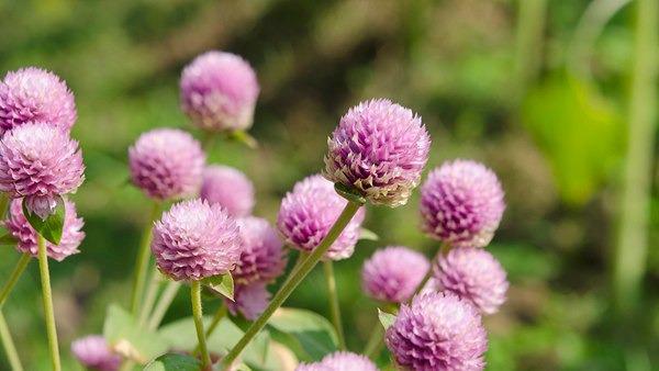 馬上就要進入秋季了 秋季養(yǎng)生你準備好了嗎？