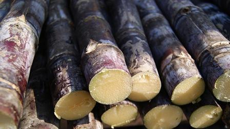 初冬吃什么水果好？牢記這些水果