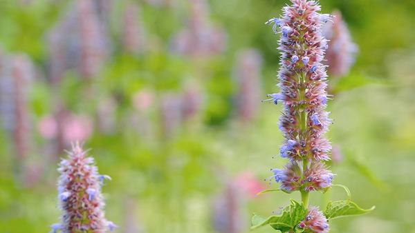 馬上就要進入秋季了 秋季養(yǎng)生你準備好了嗎？