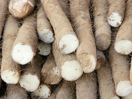 如何預(yù)防秋季上火？4種食物來敗火