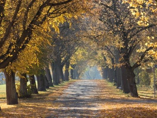 早睡早起,深秋養生指南來了-易網<a href=http://www.xllyou.com/ target=_blank class=infotextkey>健康養生</a>網 早睡早起,深秋養生指南來了