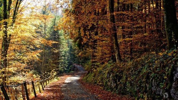 深秋養生，你該注意什么？