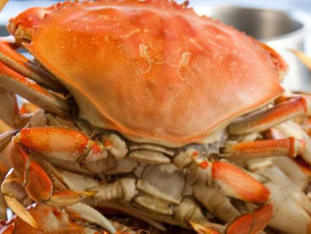 中秋節如何吃月餅？中秋節飲食保健指南來了