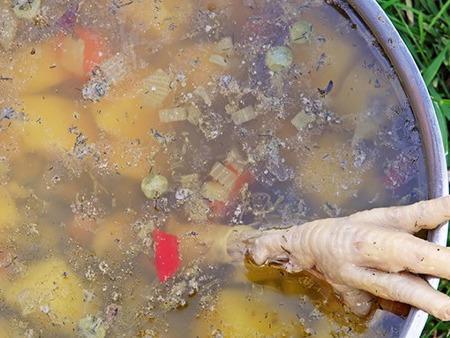 秋天老人該怎么吃，可以保證身體健康，這幾種菜肴要記下來