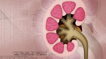 養腎須知：冬季養生重在養腎