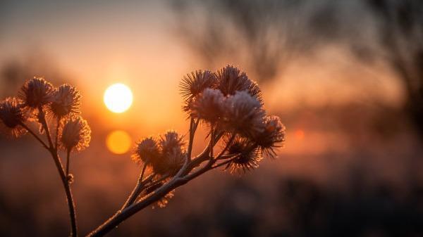立秋后防肺燥 先別急著貼秋膘
