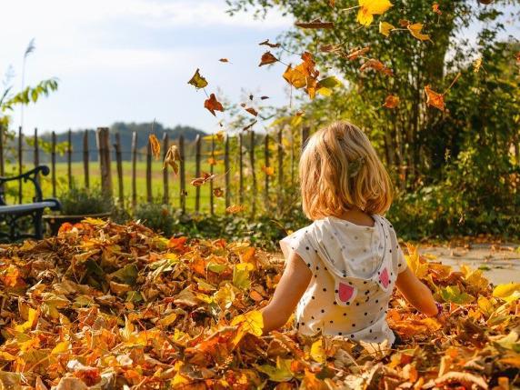 三秋養生 各有側重