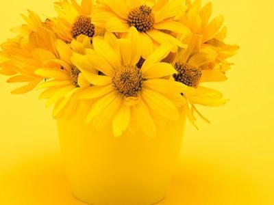 秋冬養生小常識，這里面群都概括了，你都做了哪些