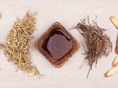 秋季老年人吃什么好?