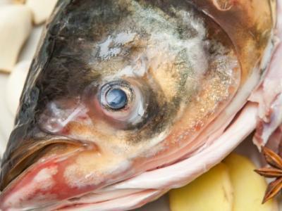 冬季多吃魚，吃魚的4好處