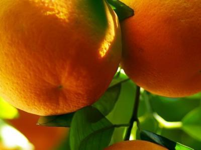 秋季怎么養生？秋季養生5常識