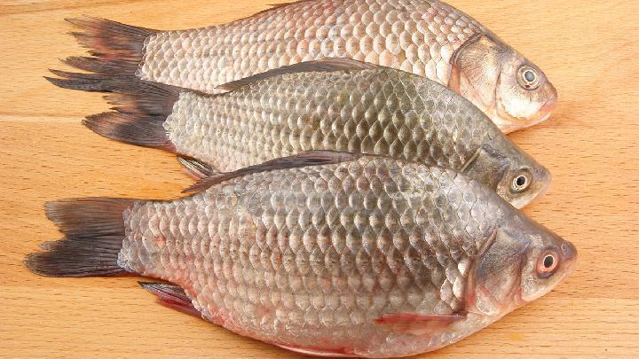 <a href=http://www.xllyou.com/tags-春季養生.html target=_blank class=infotextkey>春季養生</a>應怎么健康補血 春季補血不可信的三大傳聞