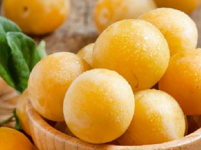 春季養生保健有什么技巧 春季養生保健6秘籍分享