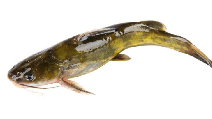 夏季吃羊肉的時候能喝酒嗎 夏季吃羊肉的應注意哪些事項