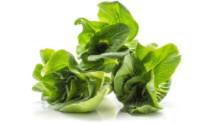 冬天吃什么食物敗火最有效 冬天吃這些食物敗火效果最好-易網健康養生網 冬天吃什么食物敗火最有效 冬天吃這些食物敗火效果最好