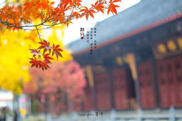 秋天也會(huì)濕氣重嗎，秋天濕氣重需要注意些什么